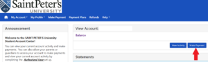 photo of make payment screen