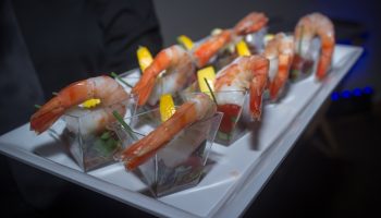 shrimp