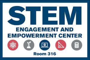 STEM Institute logo