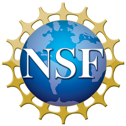 INVEST Scholars Program logo