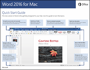 Word for Mac