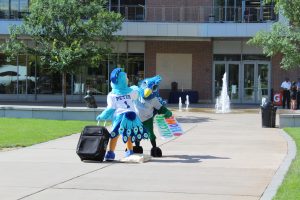 IMG_0964